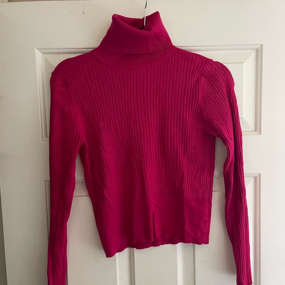 Zara Pink Turtle Neck sweater